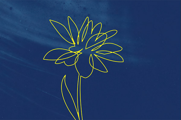 Can a primrose compound fight Uveal Melanoma