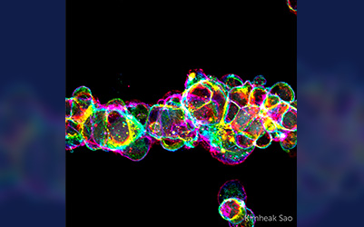 Kimheak Sao's art illustration