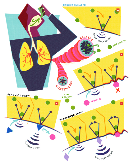 Illustration of an asthma attack