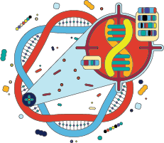Illustration of DNA