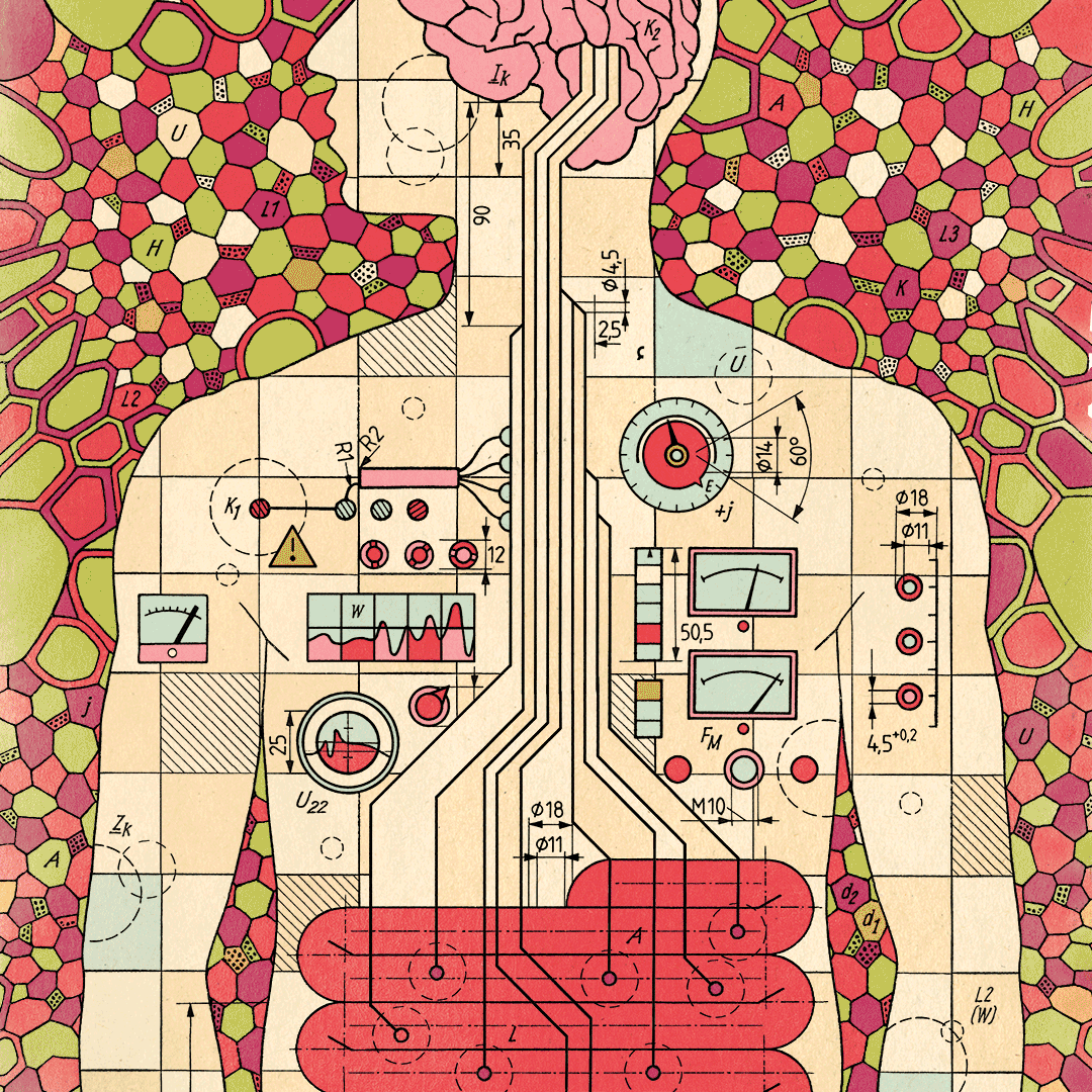 GIF of human torso