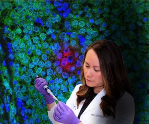 Hien Dang, PhD
