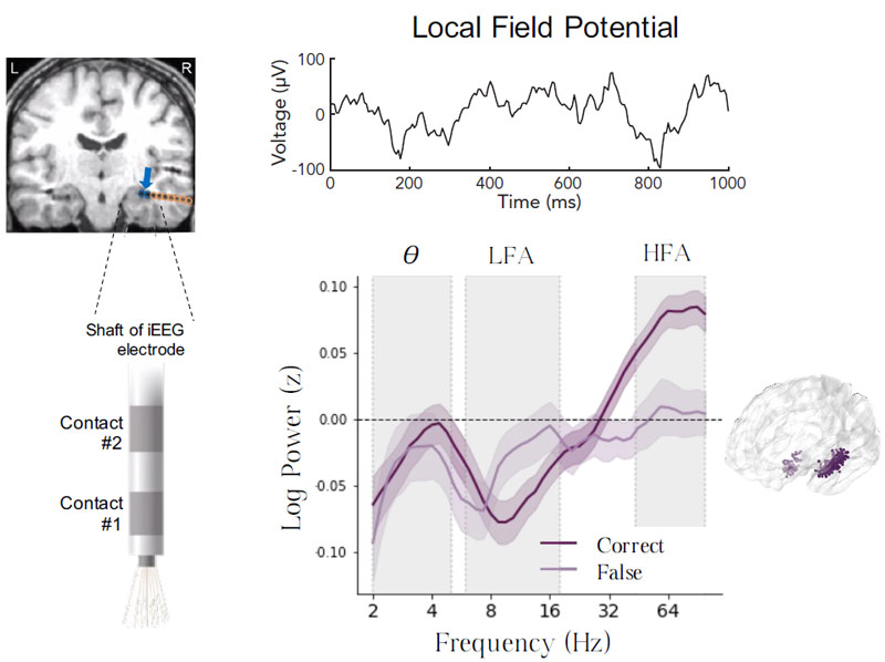 Oscillations