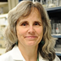 Mary Ann Stepp, PhD