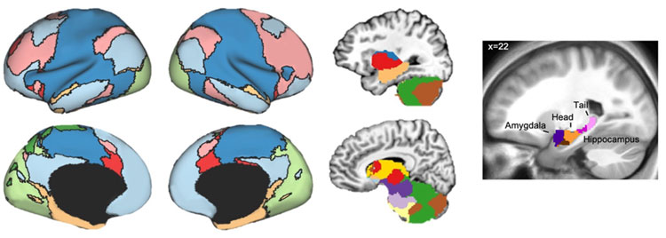Parcellating Gunctional Brain Networks using Resting-state fMRI Data