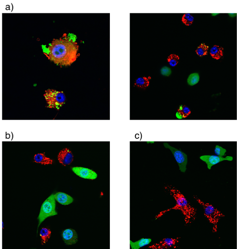 file - Vaccines against emerging viral diseases