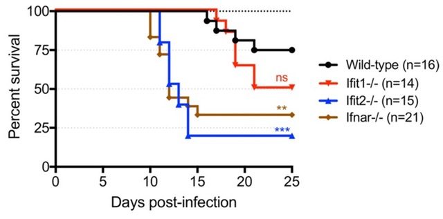file - Pathogenicity and Neurovirology
