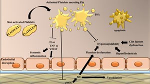 Platelet-Derived Extracellular Vesicles for Hemorrhage Control and Prevention of Hemorrhagic Shock