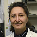 Hoora Shaghaghi, PhD