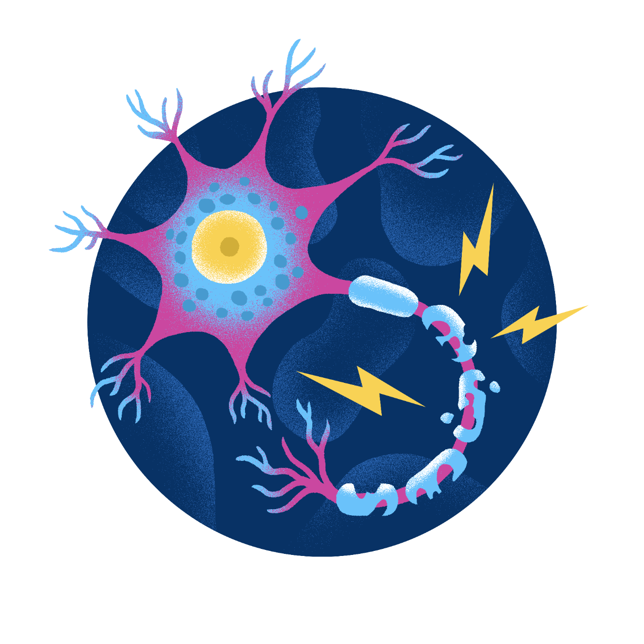 Illustration of a cell