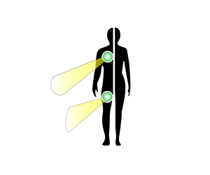vitro